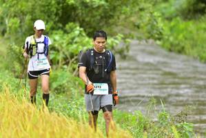 BIB: 1294, 1272
                            <button type="button" onclick="openModal(13436347)" class="btn btn-primary btn-sm float-right btn-popup" data-toggle="modal" data-target=".modal-high-quality">
                        <i class="fas fa-shopping-cart"></i> Add to Cart
                    </button>
                                            <button type="button" onclick="isThisMe(13436347, true)" class="btn btn-success btn-sm float-right btn-popup btn-isme hidden" data-toggle="tooltip" data-placement="bottom" title="นี่คือรูปของคุณใช่ไหม คลิกที่นี่เพื่อเอาเข้าอัลบั้ม">
                        <i class="fas fa-plus"></i> Add to album
                    </button>
                    <button type="button" onclick="isThisMe(13436347, false)" class="btn btn-warning btn-sm float-right btn-popup btn-isnotme hidden">
                        <i class="fas fa-ban"></i> Remove from album
                    </button>